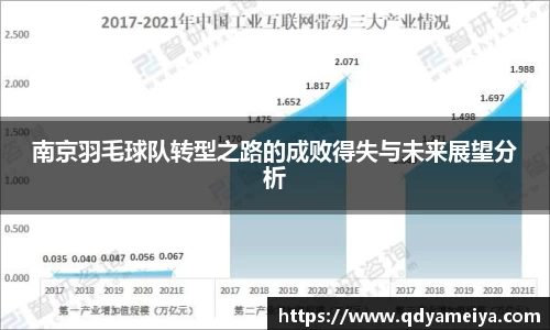 南京羽毛球队转型之路的成败得失与未来展望分析