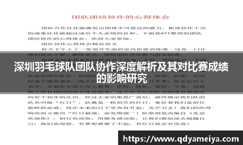 深圳羽毛球队团队协作深度解析及其对比赛成绩的影响研究